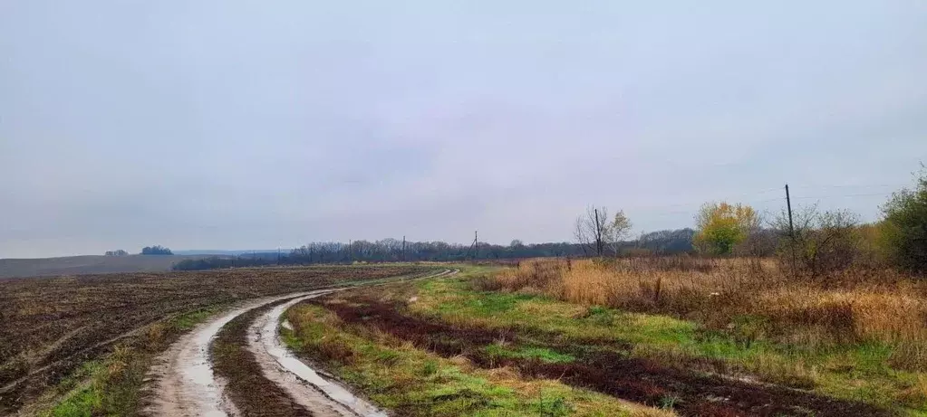 Участок в Краснодарский край, Северская ст-ца  (68.78 сот.) - Фото 1