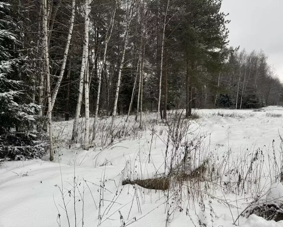 Участок в Московская область, Богородский городской округ, д. Марьино ... - Фото 0