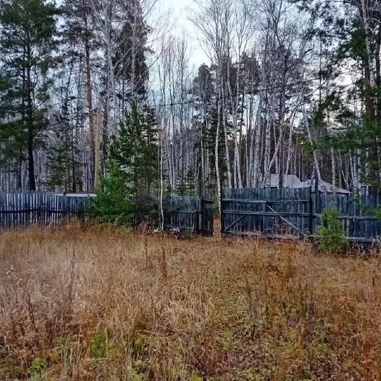 Участок в Курганская область, Курган Надежда СНТ, 275А (12.0 сот.) - Фото 1