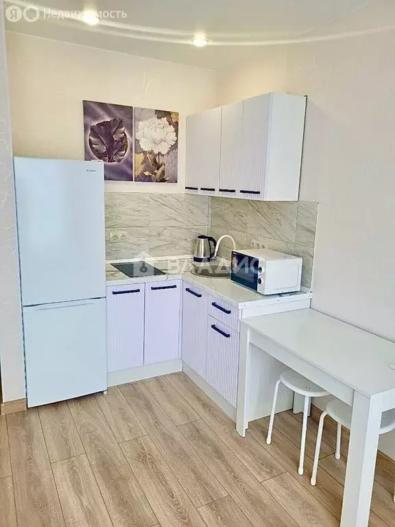 Квартира-студия: деревня Глухово, Романовская улица, 11 (22.9 м) - Фото 2