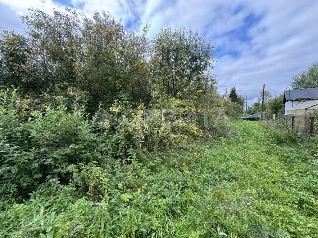 Участок в Тюменская область, Нижнетавдинский муниципальный округ, ... - Фото 2