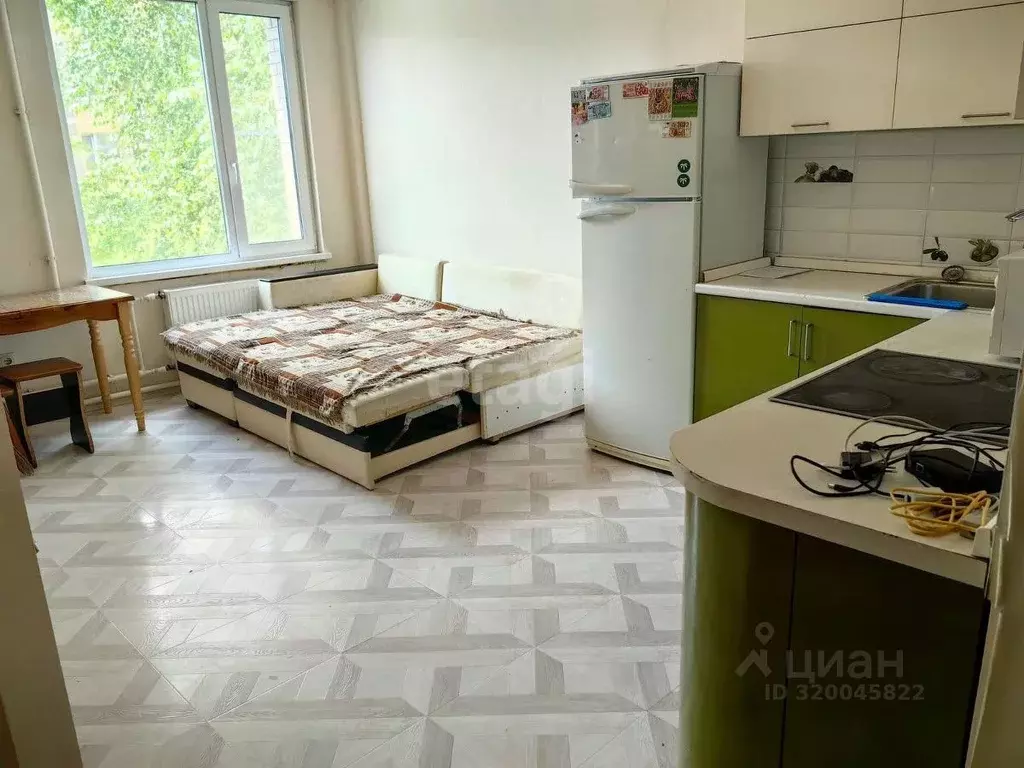 Студия Калужская область, Совхоз Боровский с/пос, д. Кабицыно, ... - Фото 1