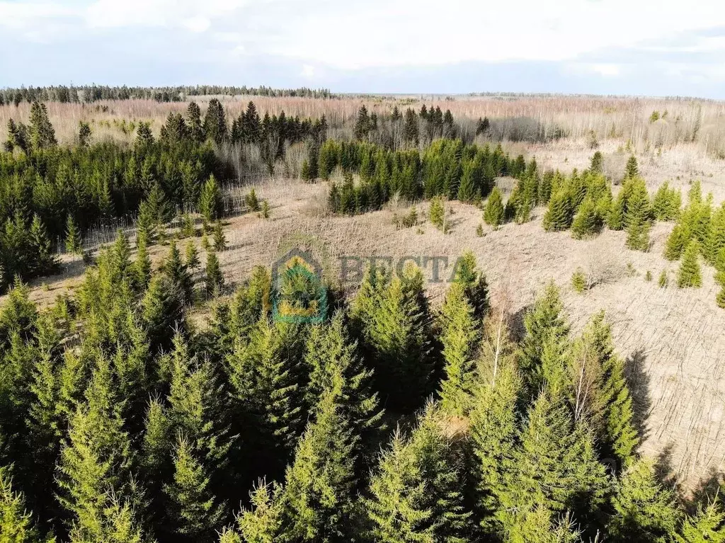 Участок в Ленинградская область, Гатчинский муниципальный округ, д. ... - Фото 1