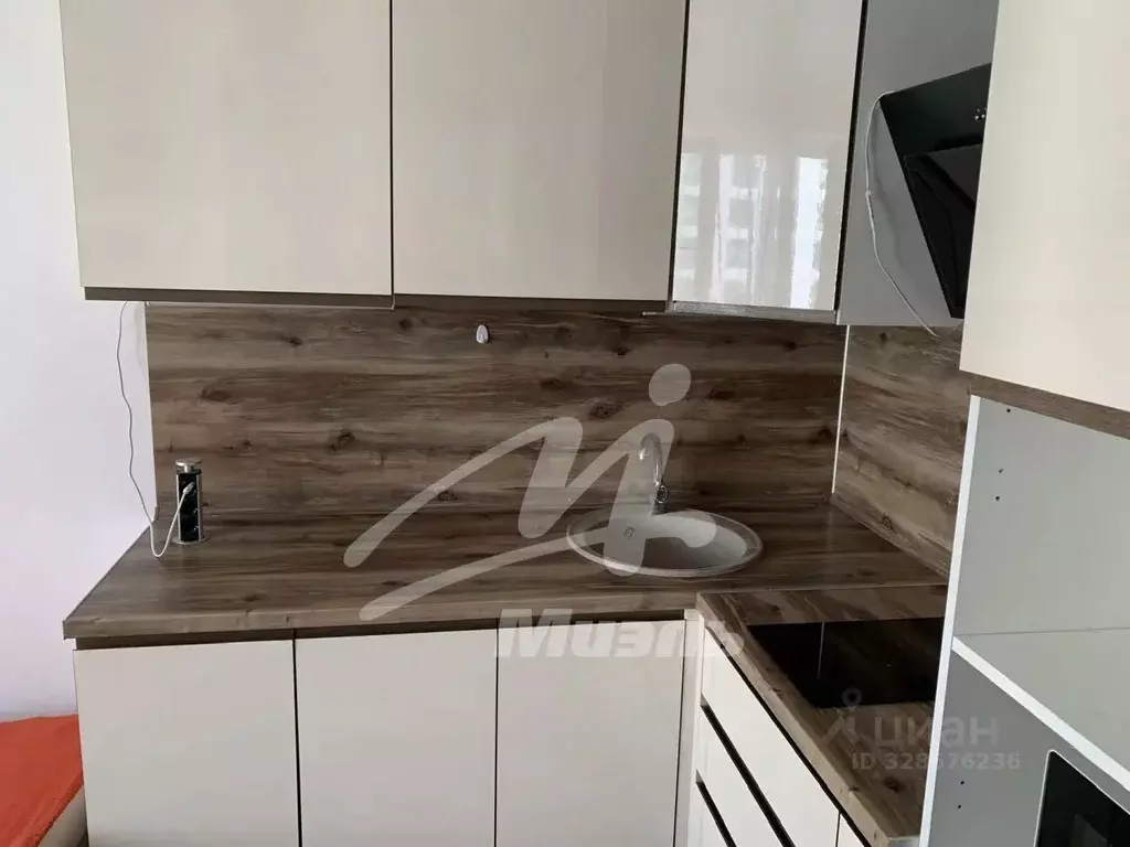 Студия Московская область, Люберцы ул. Летчика Ларюшина, 12 (20.0 м) - Фото 2