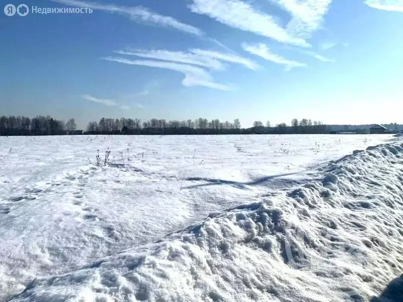 Участок в Кировский район, Синявинское городское поселение, ... - Фото 1