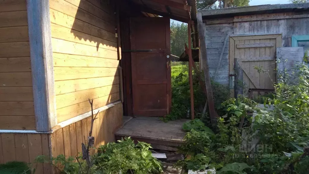 Помещение свободного назначения в Архангельская область, Коряжма ул. ... - Фото 1