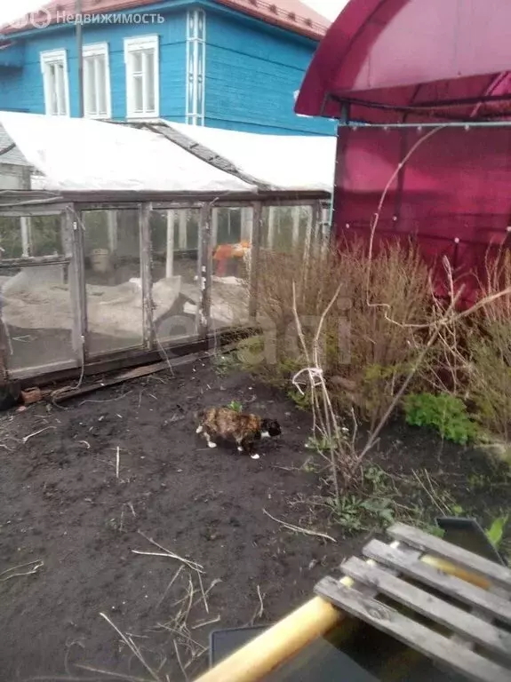 Дом в Мичуринск, Кооперативная улица (37.1 м) - Фото 2