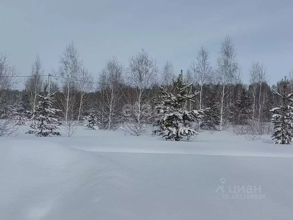 Участок в Челябинская область, Каслинский район, Тюбукское с/пос, пос. ... - Фото 1