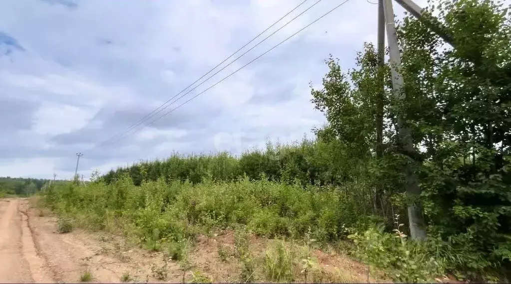 Участок в Свердловская область, Ревда муниципальный округ, с. ... - Фото 0