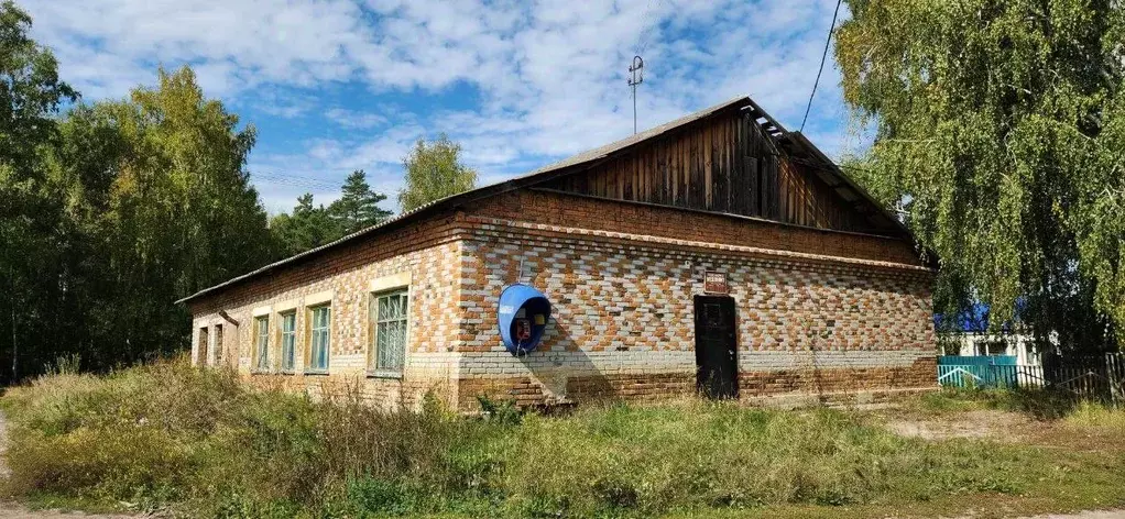 Помещение свободного назначения в Курганская область, Кетовский ... - Фото 1