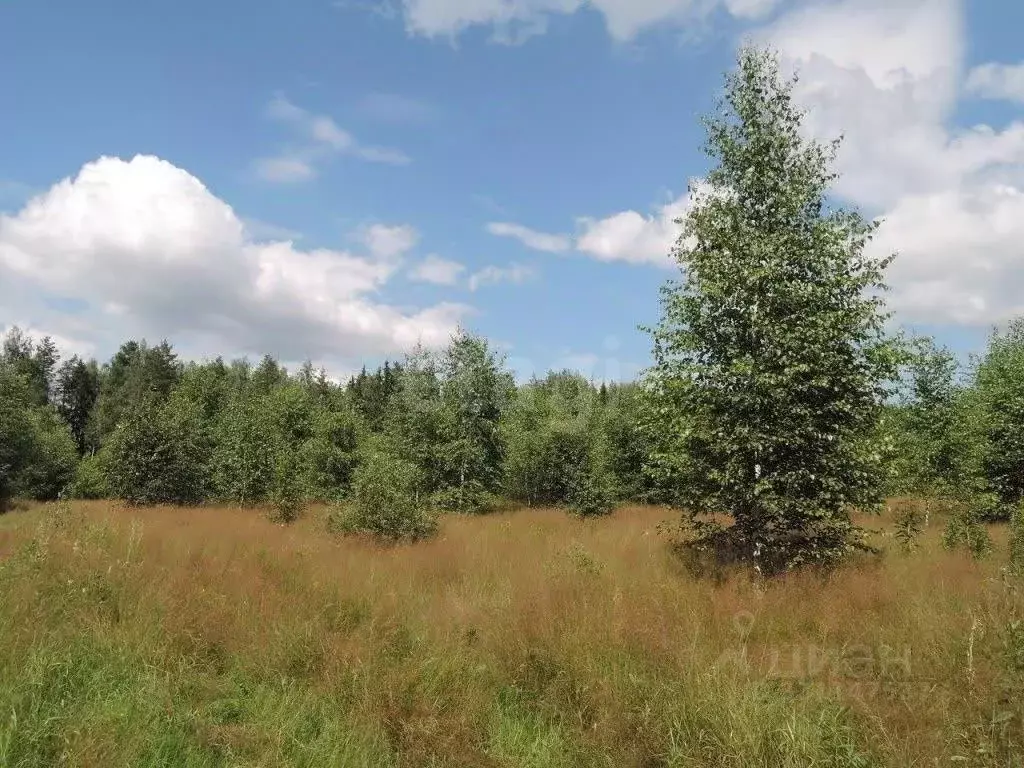 Участок в Кировская область, Киров городской округ, д. Загоски 12 ... - Фото 1