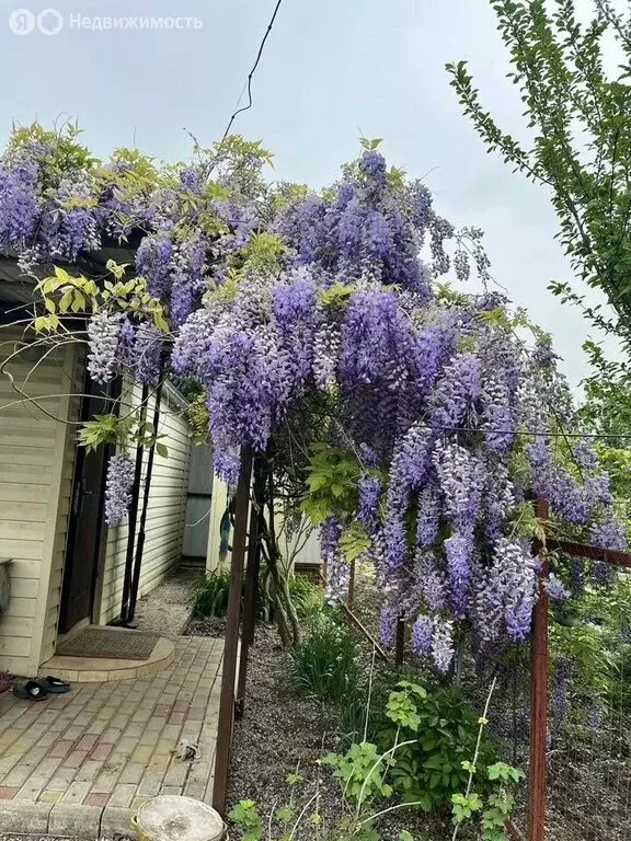 Дом в Краснодар, СНТ КСТ-2, Огуречная улица, 228 (20 м) - Фото 1