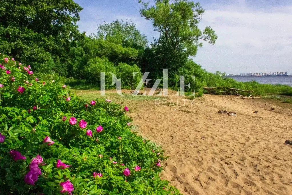 Участок в Санкт-Петербург Соловьиная ул., 3 (24.0 сот.) - Фото 1