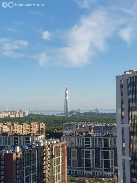 1-комнатная квартира: Санкт-Петербург, Верхне-Каменская улица, 9к1 ... - Фото 2