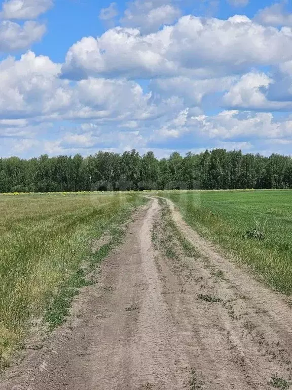 Участок в Тюменская область, Тюменский муниципальный округ, с. ... - Фото 1