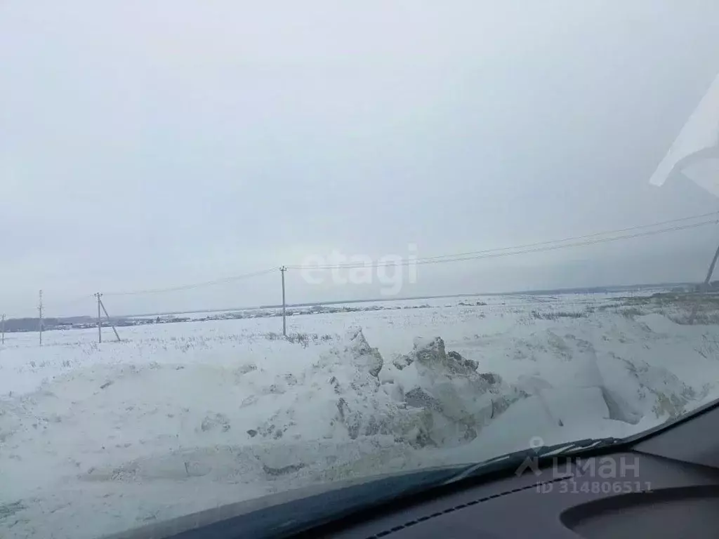 Участок в Башкортостан, Кушнаренковский район, Старокурмашевский ... - Фото 0