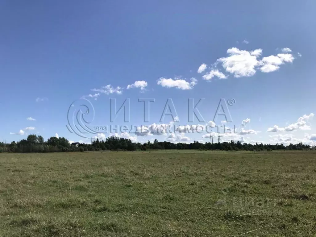 Участок в Ленинградская область, Ломоносовский район, Ропшинское ... - Фото 0