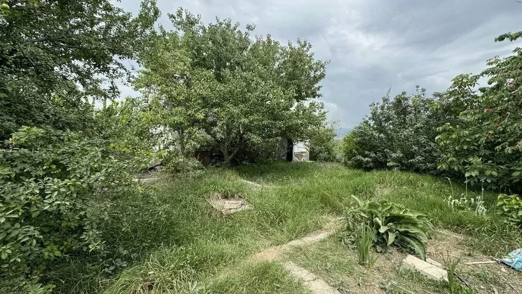 Участок в Севастополь, Севастополь, Балаклава г. Горняк садоводческое ... - Фото 0