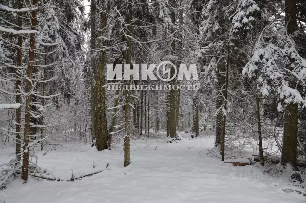 Участок в Московская область, Дмитровский муниципальный округ, д. ... - Фото 2