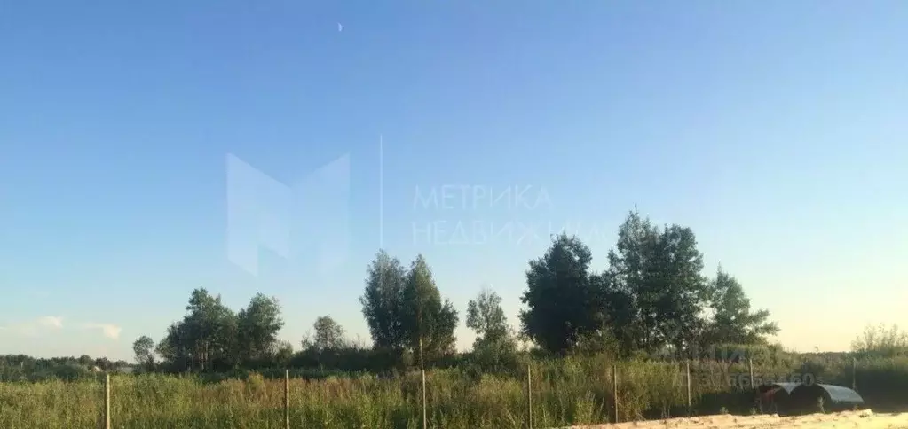 Участок в Тюменская область, Тюмень Светлое садовое товарищество,  ... - Фото 1