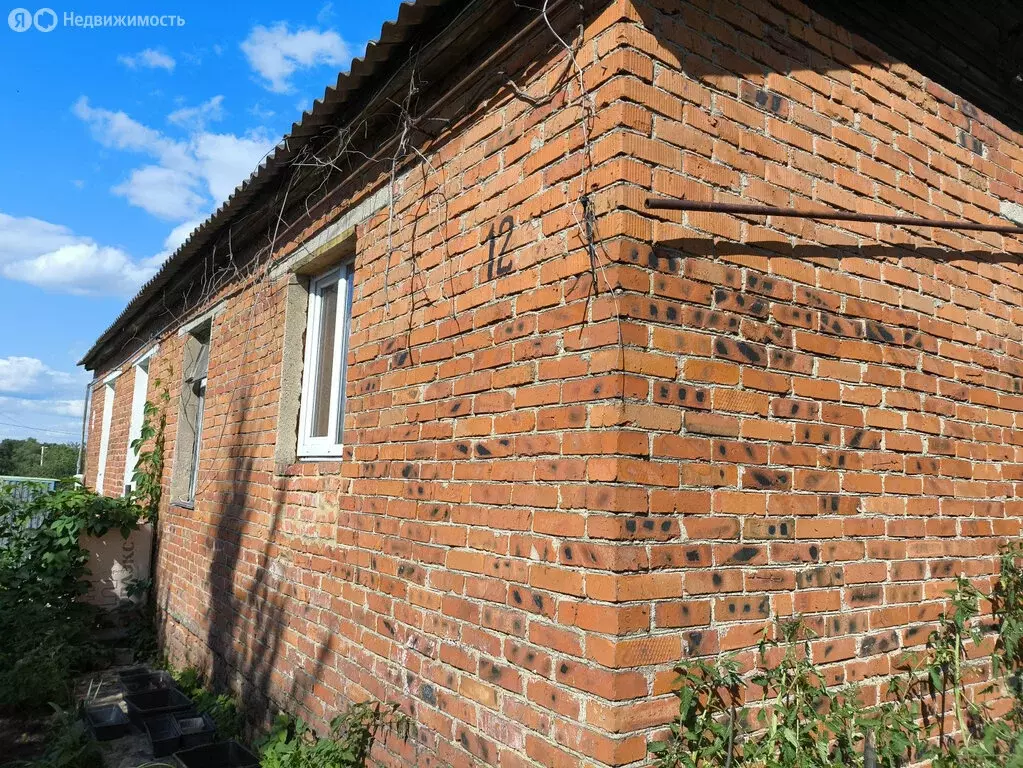 Дом в Русятино, улица Руднева, 12 (66 м) - Фото 1