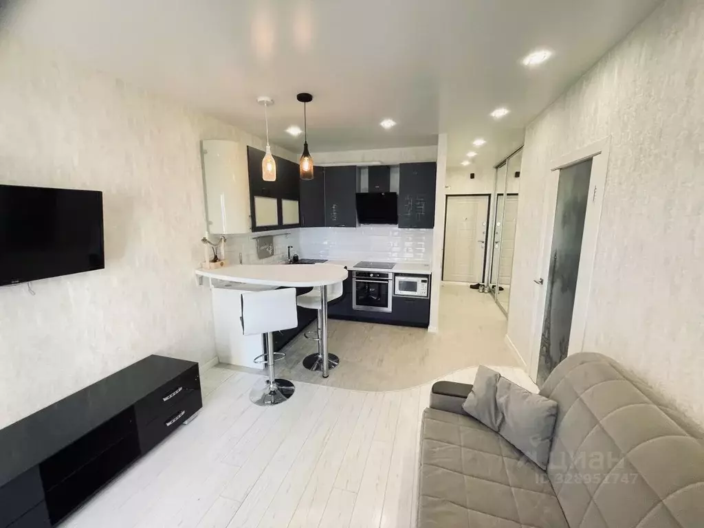 2-к кв. Псковская область, Псковский муниципальный район, Писковичская ... - Фото 1