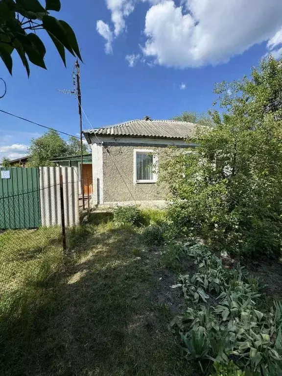 Дом в Воронежская область, с. Новая Усмань ул. Набережная, 16 (55 м) - Фото 1