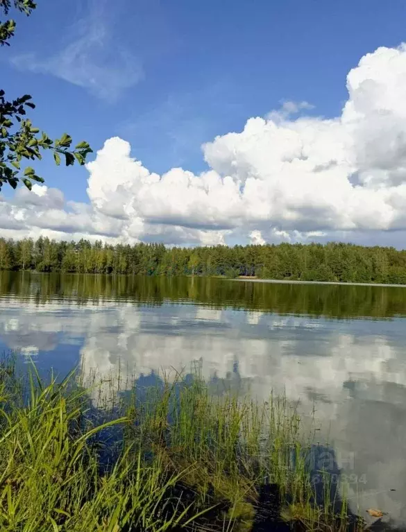 Дом в Нижегородская область, Володарский муниципальный округ, д. ... - Фото 2