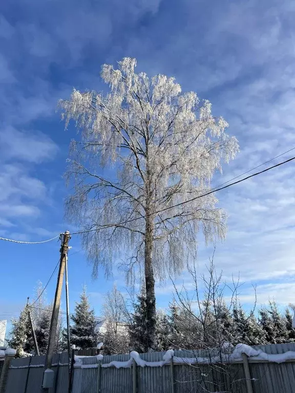 Участок в Ленинградская область, Всеволожский район, Юкковское с/пос, ... - Фото 1
