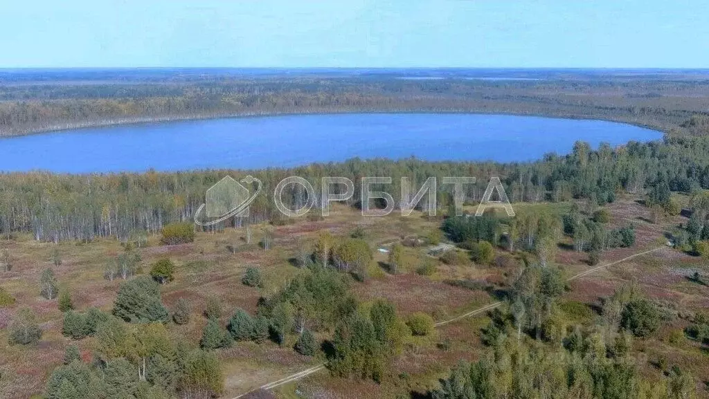 Участок в Тюменская область, Нижнетавдинский район, пос. Мияги  (10.0 ... - Фото 1