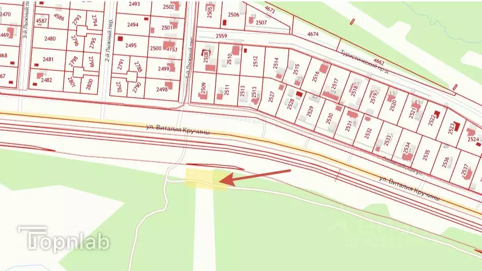 Участок в Камчатский край, Елизово ул. Виталия Кручины (10.0 сот.) - Фото 2