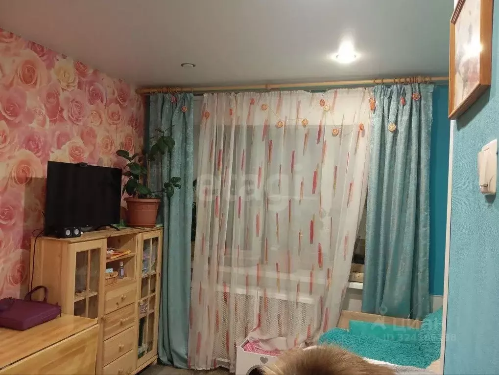 Студия Ярославская область, Ярославль Северный жилрайон, ул. Елены ... - Фото 1