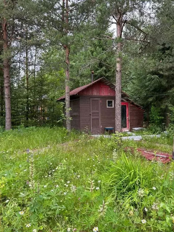 Дом в Ленинградская область, Выборгский район, Рощинское городское ... - Фото 1