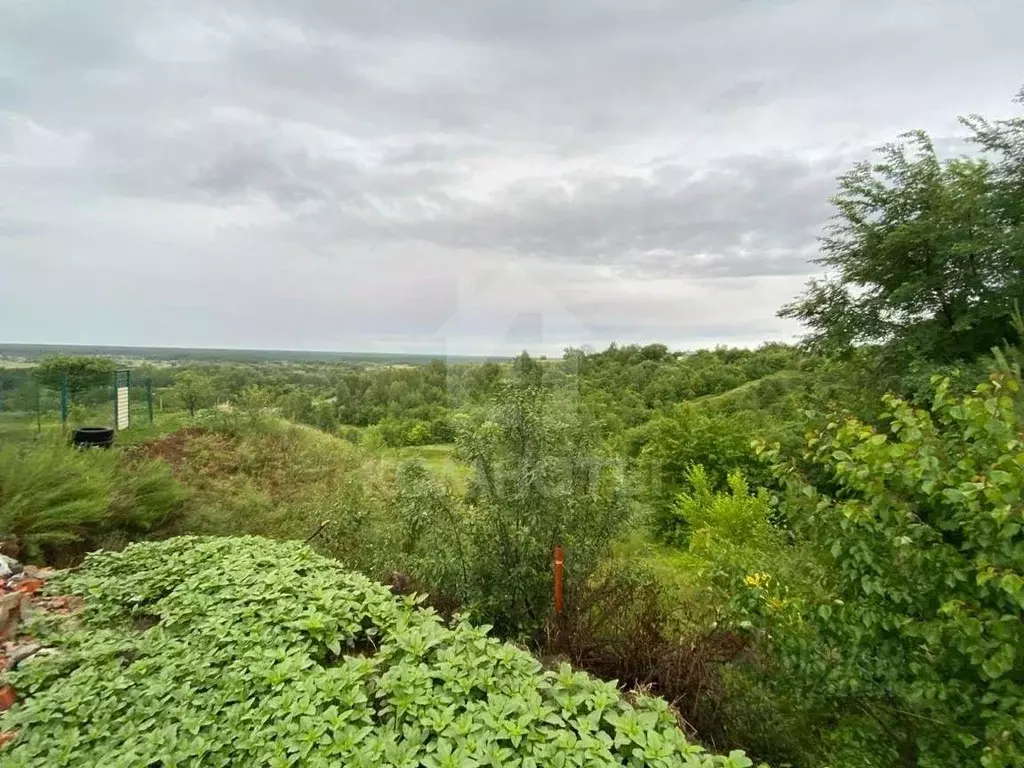 Участок в Воронежская область, Рамонский район, Березовское с/пос, д. ... - Фото 1