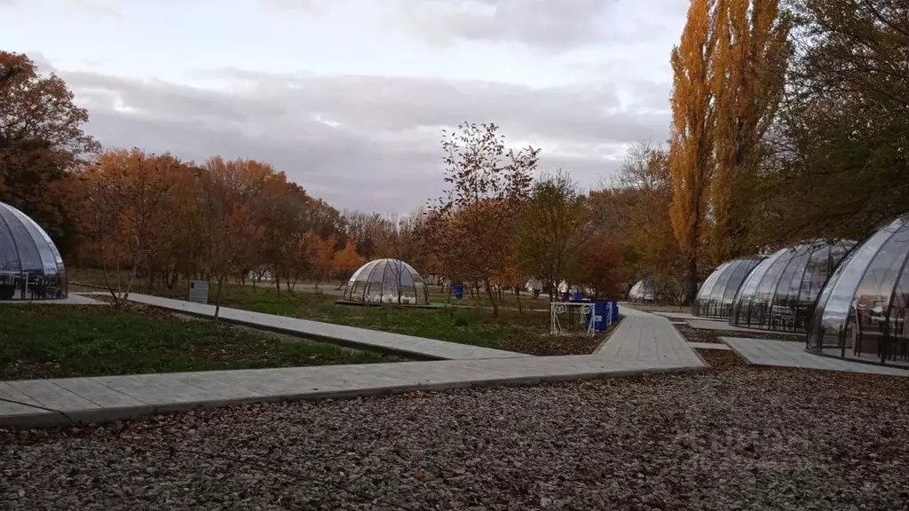 Помещение свободного назначения в Ставропольский край, Кочубеевский ... - Фото 2