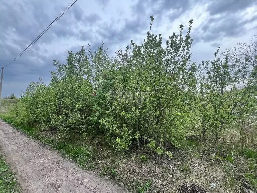 Участок в Белгородская область, Белгородский район, Ериковское с/пос, ... - Фото 0