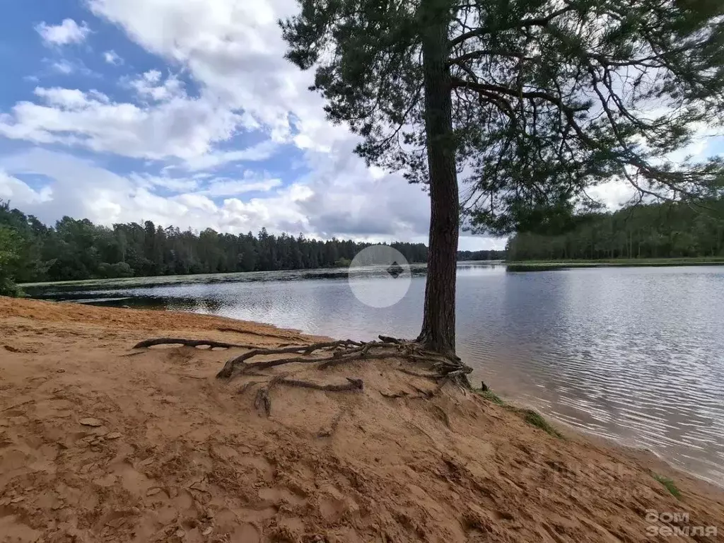 Коттедж в Ленинградская область, Гатчинский район, Вырица городской ... - Фото 1