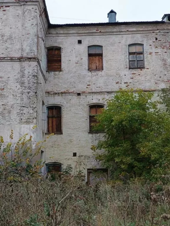 Помещение свободного назначения в Ярославская область, Ярославль ул. ... - Фото 2