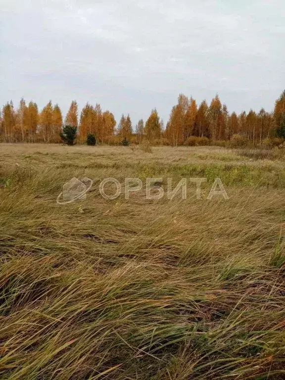 Участок в Тюменская область, Тюменский район, с. Борки  (18.9 сот.) - Фото 1