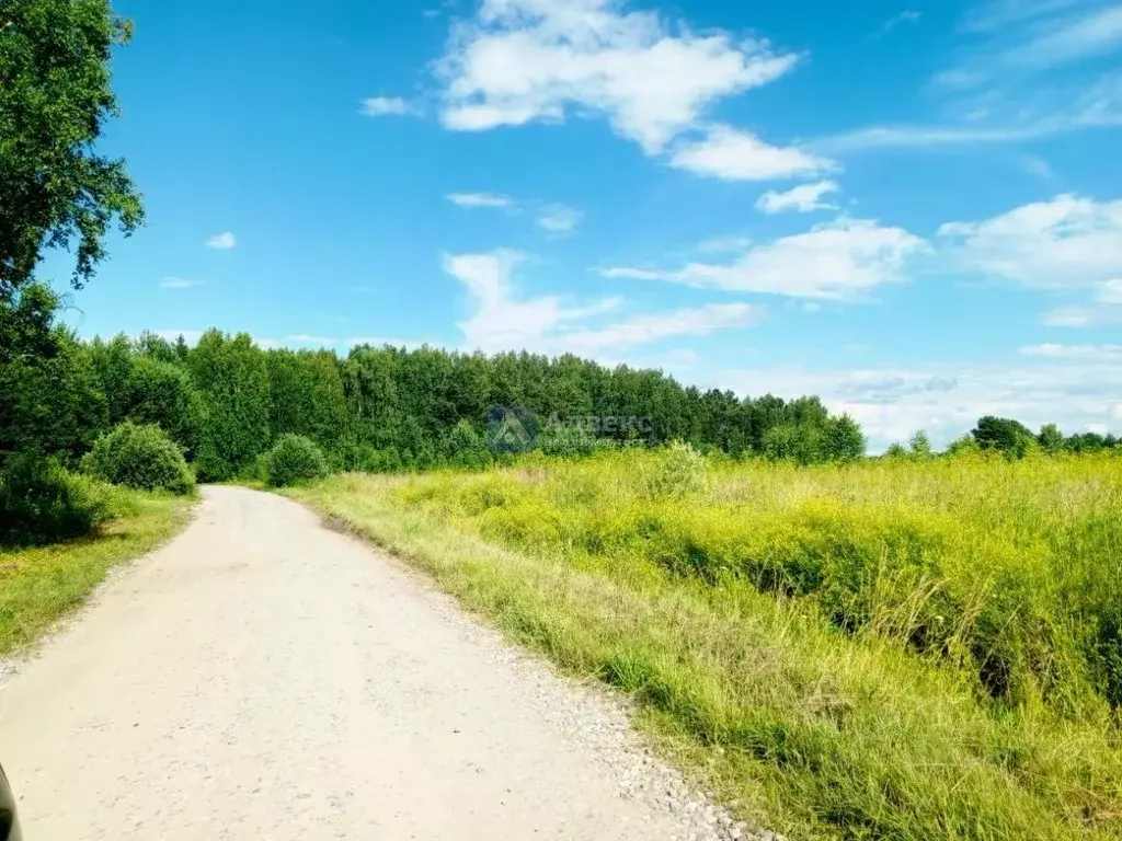 Участок в Тюменская область, Тюменский район, с. Перевалово ул. ... - Фото 1