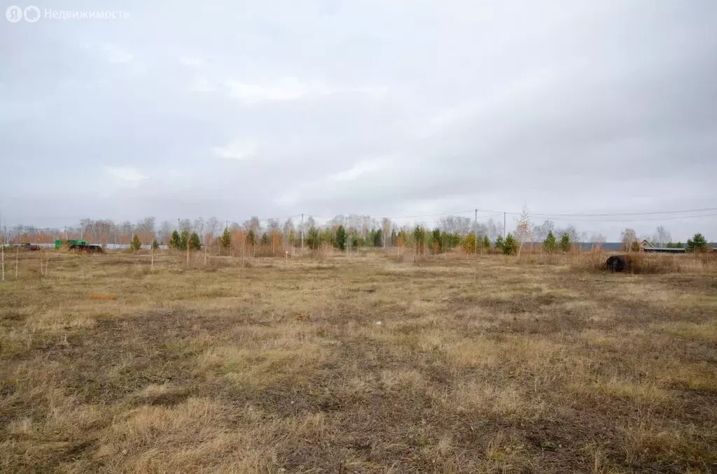 Участок в село Сингуль Татарский, Набережный проезд (17.6 м) - Фото 0