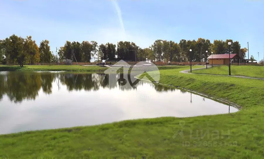 Участок в Новосибирская область, Новосибирский район, Морской ... - Фото 1