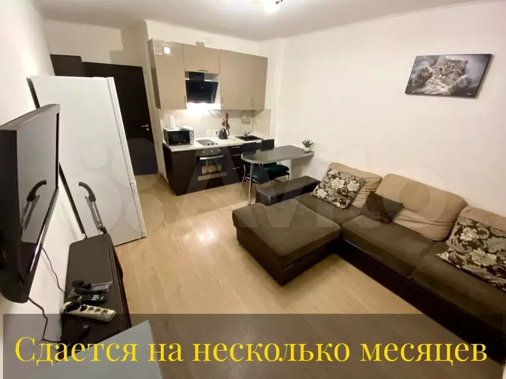 Квартира-студия, 25 м, 4/13 эт. - Фото 0