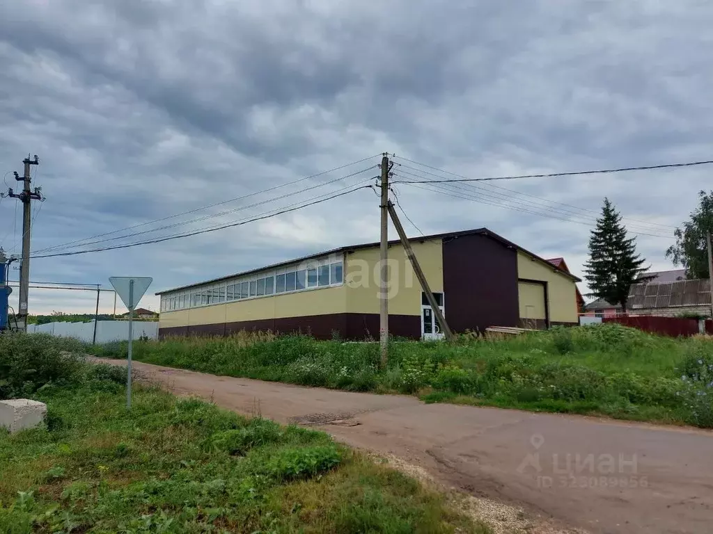 Торговая площадь в Мордовия, Рузаевский район, с. Левжа ул. Ленина, 65 ... - Фото 1