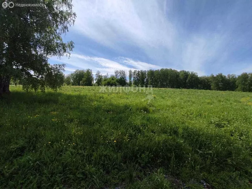 Участок в Новосибирский район, Берёзовский сельсовет, село Быково, ... - Фото 1