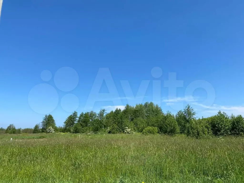 Участок 8,3 сот. (ИЖС) - Фото 1