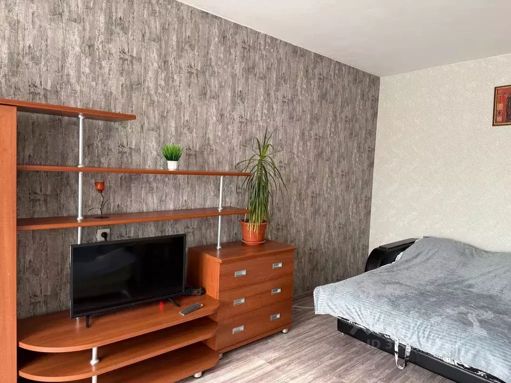 1-к кв. Липецкая область, Грязи ул. Правды, 64 (35.0 м) - Фото 2