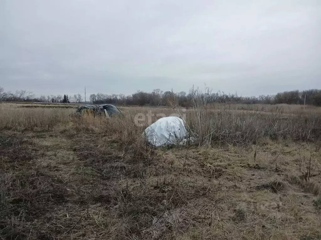 Участок в Белгородская область, Валуйский муниципальный округ, пос. ... - Фото 0