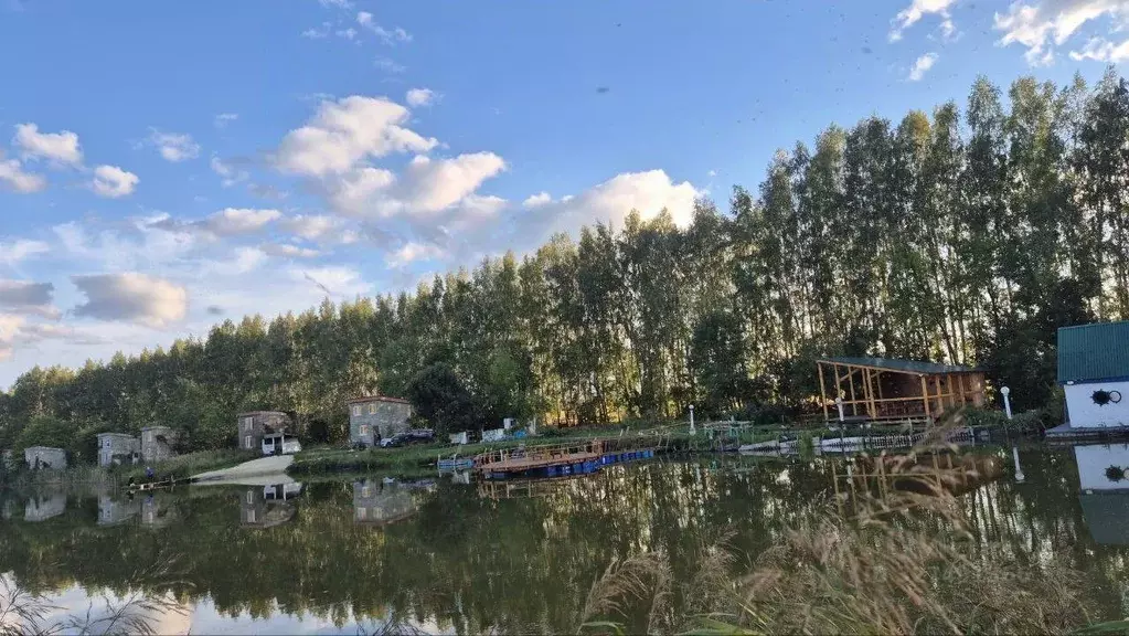 Помещение свободного назначения в Ульяновская область, Сенгилеевский ... - Фото 1