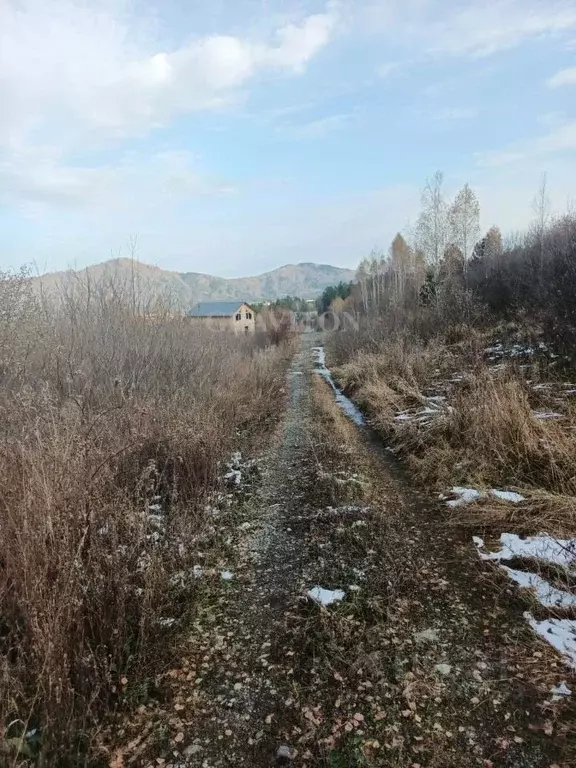 Участок в Алтай, Майминский район, Манжерокское с/пос, с. Озерное ул. ... - Фото 1